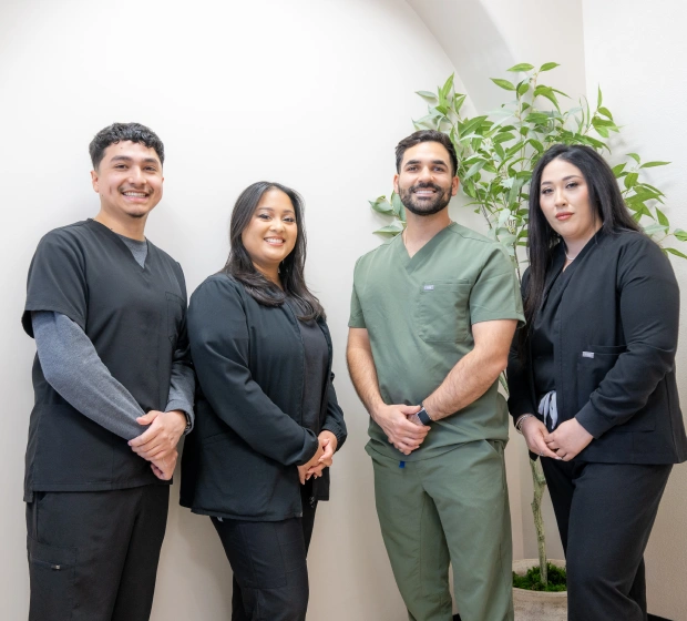 The Dentist - team